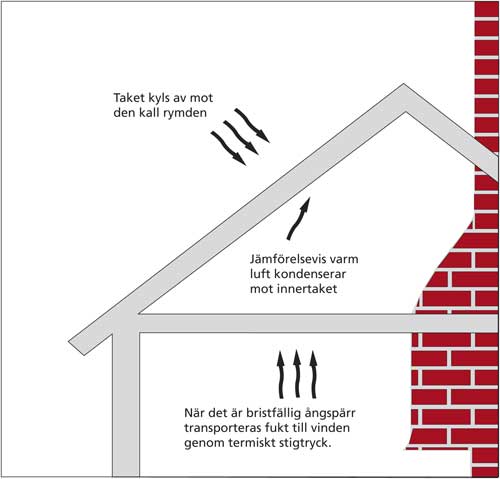 Illustrasjon av fukt på kaldt loft – fuktig luft kondenserer på den kalde undersiden av taket