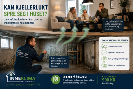 Illustrasjon av kjellerlukt og fuktig luft som beveger seg fra kjelleren opp i huset