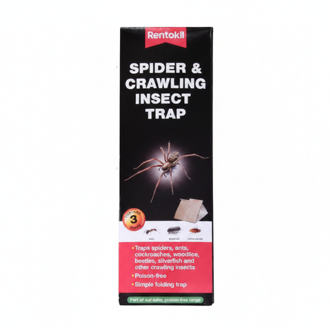 Edderkopper i kjeller og bad? Det handler ofte om fukt og insekter