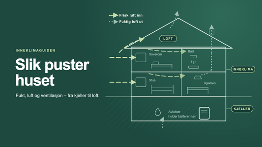 Illustrasjon: slik puster huset – frisk luft inn, fuktig luft ut, lufting av loft og avfukter i kjeller
